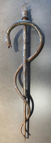 Stab des aesculap - stab,