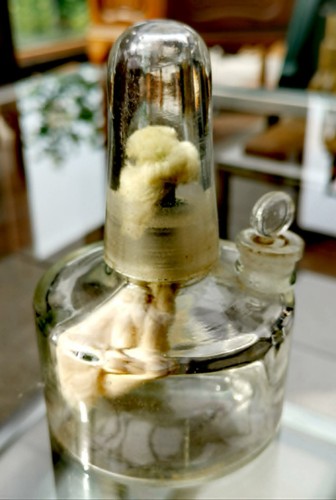 Apotheker spiritusbrenner - apotheker,