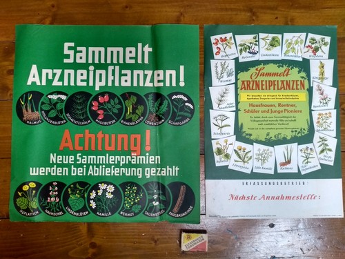 Sammelt arzneipflanzen - sammelt,