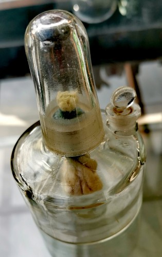 Apotheker spiritusbrenner - apotheker,